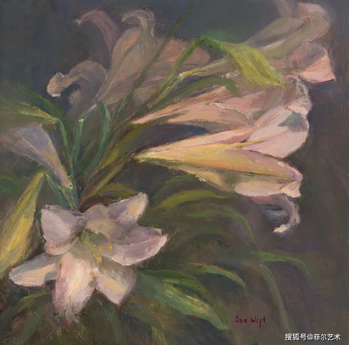 大笔触花卉油画,光与色的交融